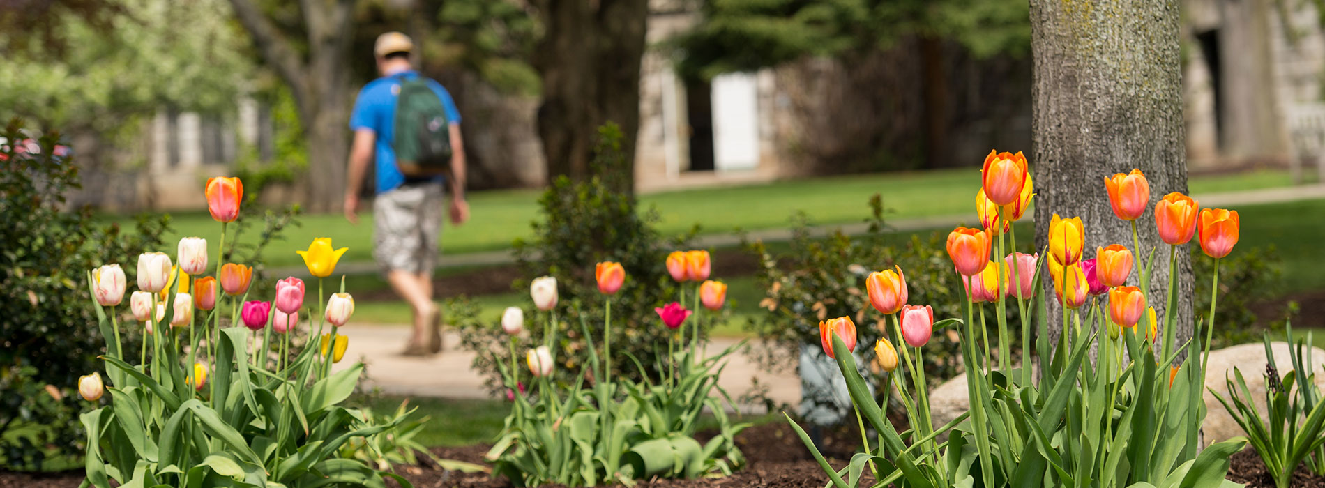 Campus Spring Scene banner